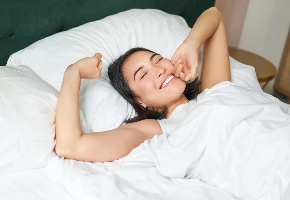 smart bed sofa